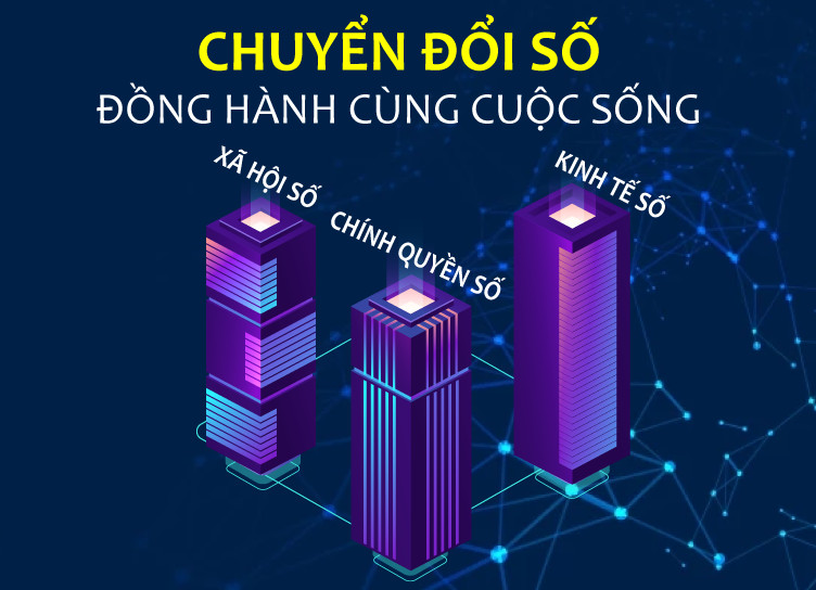 8-20 cds243